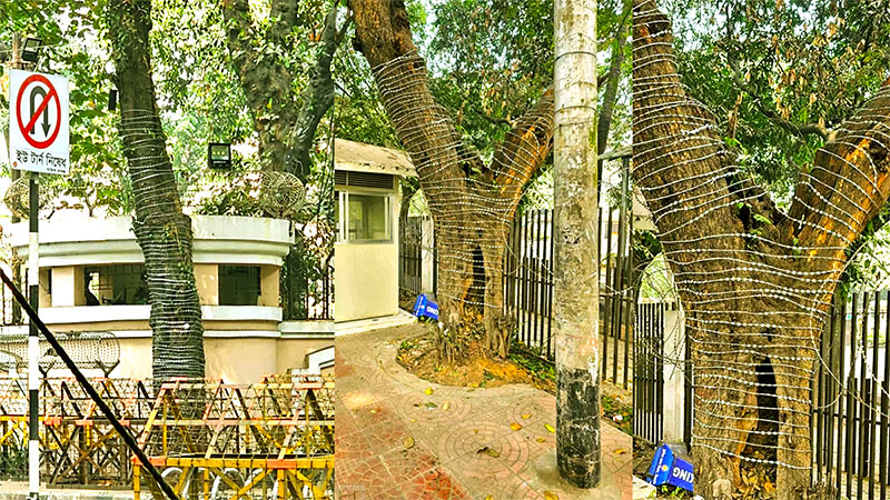 আইন-শৃঙ্খলা পরিস্থিতি নিয়ে জনগণের মধ্যে অব্যাহত উদ্বেগ: বিবিএস জরিপ