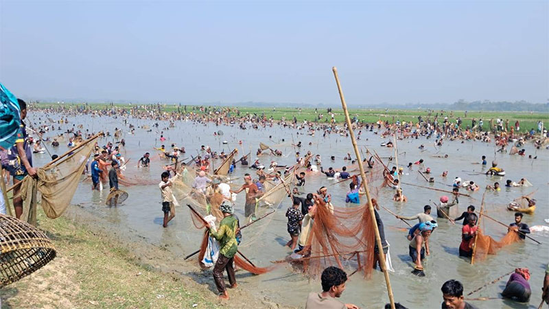 আবারও ঘোষণা দিয়ে হাওরে দুই জলমহালের মাছ লুট