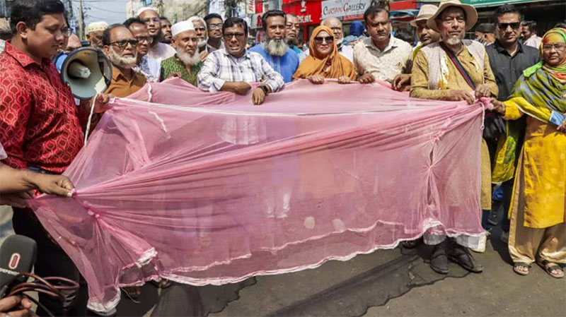 খুলনা মহানগরীতে তীব্র মশার উপদ্রব, নগরবাসীর মশারি মিছিল