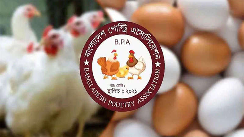 ছয় মাসে বন্ধ হয়ে গেছে ১০ হাজারের বেশি পোল্ট্রি খামার