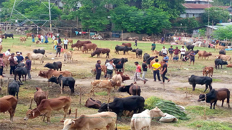 সশস্ত্র দুর্বৃত্তদের হুমকিতে বেসরকারি সংস্থার কোরবানির মাংস বিতরণ কর্মসূচি বাতিল