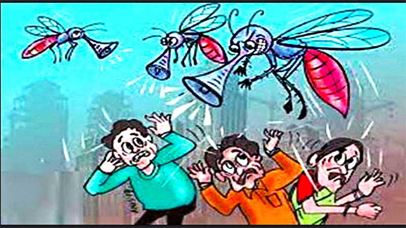 মশাদের দখলে চট্টগ্রাম শহর, কাজ হচ্ছে না কোনো ওষুধেই