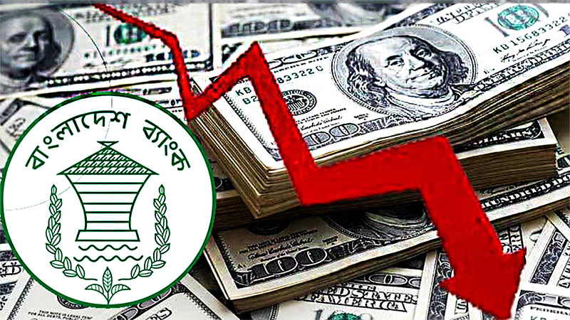 রাজনৈতিক অনিশ্চয়তা-অব্যবস্থাপনায় বিদেশি বিনিয়োগ কমেছে ৭০ শতাংশ, উদ্বেগে অর্থনীতিবিদরা