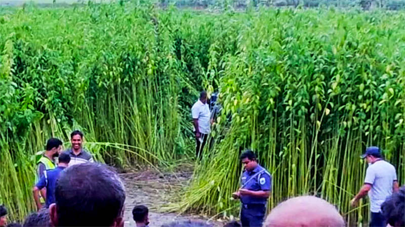 বগুড়ায় পাটক্ষেত থেকে কঙ্কাল উদ্ধার, পাশে বোরখা-পেটিকোট ও চপ্পল