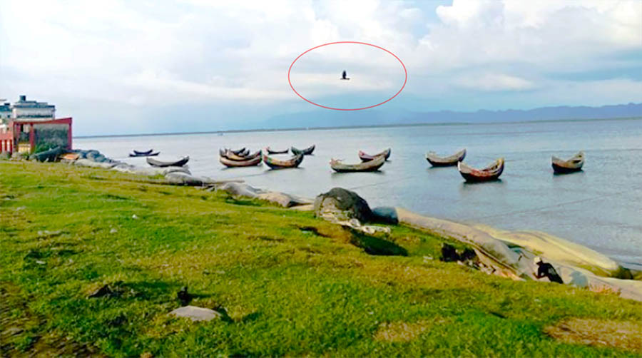 সেন্ট মার্টিন্সের আকাশে মিয়ানমারের ড্রোন: আতঙ্কে দ্বীপবাসী, সীমান্তে টানটান উত্তেজনা