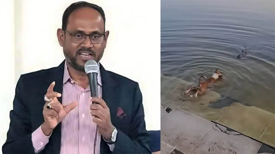 বাগেরহাটে কুকুরকে কুমিরের মুখে ছেড়ে দেওয়ার ঘটনায় কঠোর পদক্ষেপের নির্দেশ প্রতিমন্ত্রীর