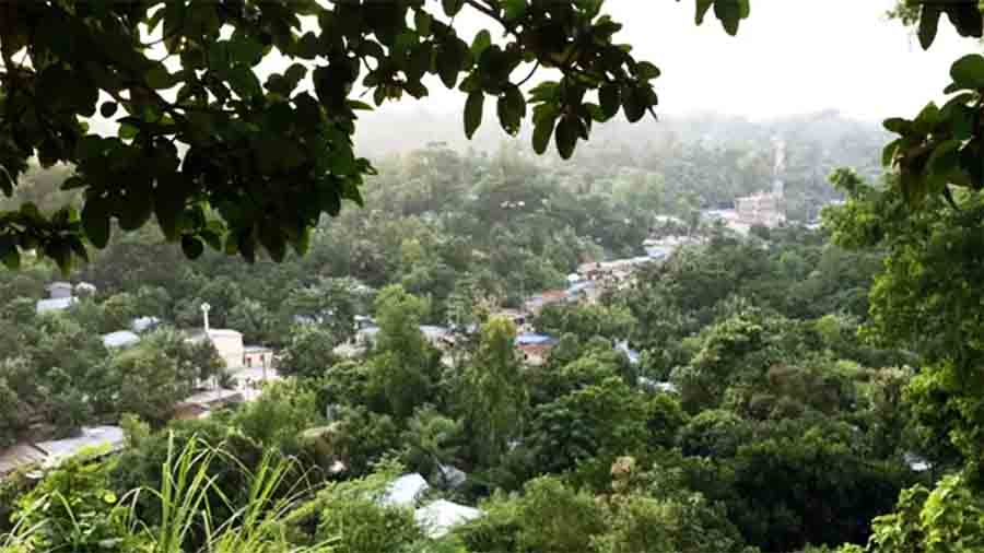 জঙ্গল সলিমপুরে নাশকতা: যৌথ বাহিনীর পানির পাইপ কেটে ঢালা হয় বিষ, ঝুঁকিতে স্কুলশিশুরাও