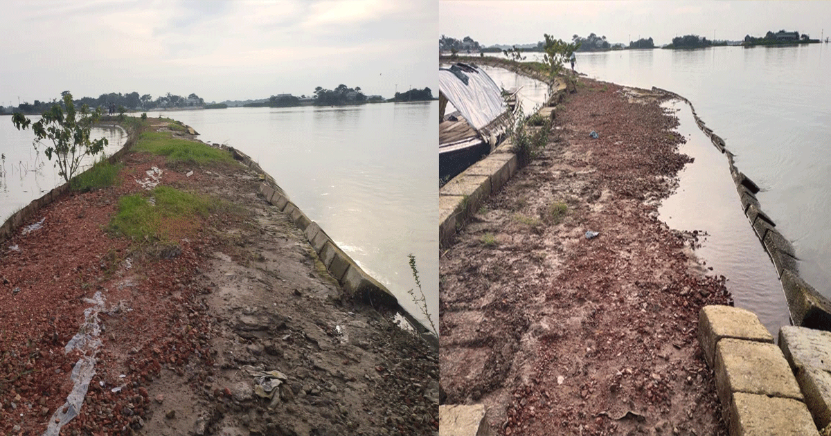 নেত্রকোনায় ফসলরক্ষা বাঁধের দুই হাজারের বেশি ব্লক লুটের অভিযোগ, লুটপাটে পিছিয়ে নেই কেউই-দেখারও নেই কেউ