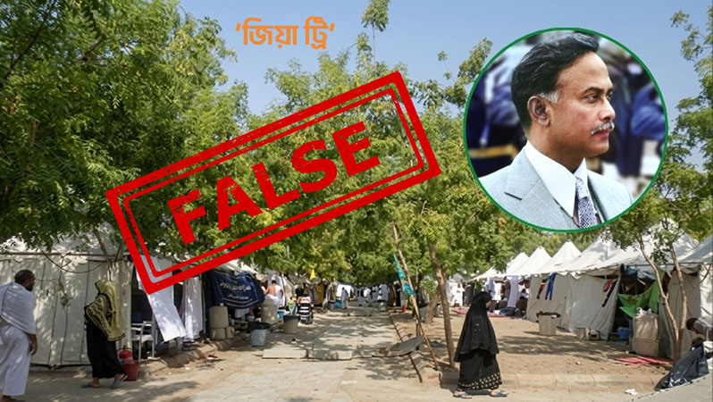 আরাফাত ময়দানে জিয়াউর রহমানের ‘জিয়া ট্রি’ নিয়ে তারেক রহমানের দাবি: সৌদি ঐতিহাসিক দলিলে মেলেনি সত্যতা