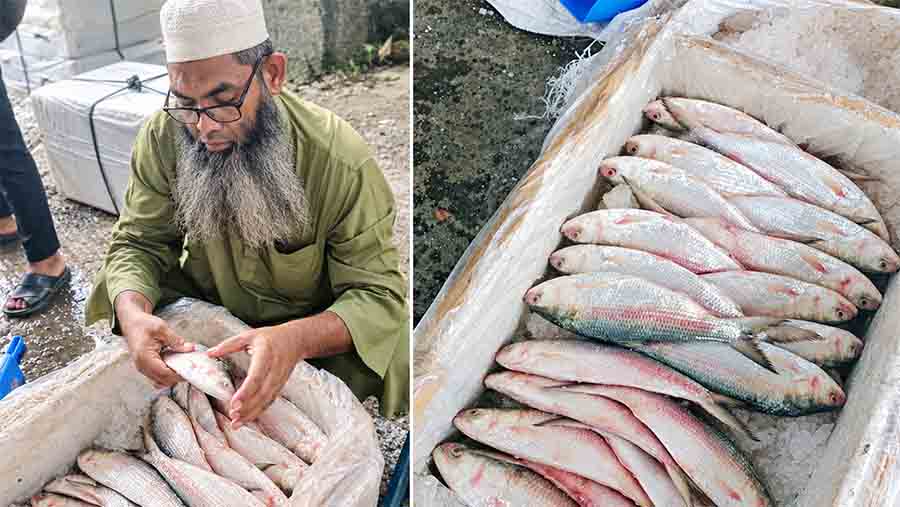 চাল-তেল-সবজি-কাঁচামালের পর এবার ভারত থেকে এলো সাড়ে ৩ লাখ কেজি ইলিশ! বাদ যাবে না কোনো পণ্য