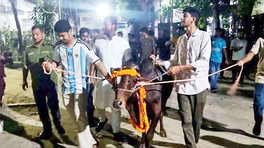 জবিতে মন্দিরের পাশে ‘গরু ভোজ’ বিতর্ক: ওপরে ওপরে সম্প্রীতির বাণী, নেপথ্যে ছাত্রশক্তি নেতার সংশ্লিষ্টতা